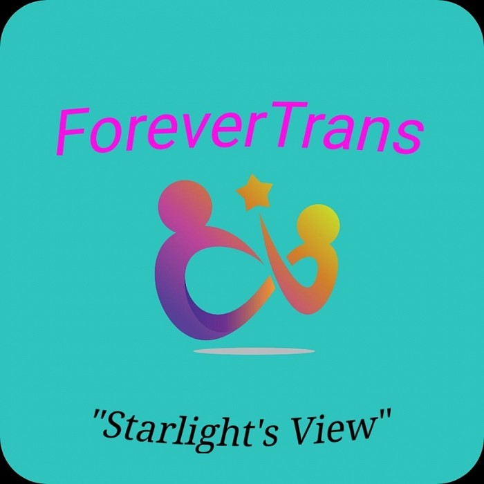 ForeverTrans