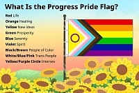 This is the progress pride flag.