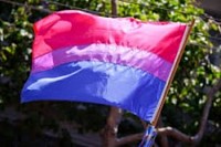 1998 bisexual pride flag