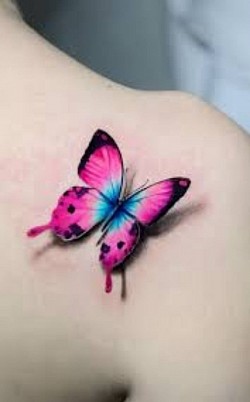 3d butterfly